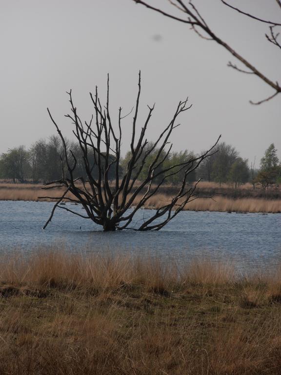 Gezond Boeren Verstand Dalerveen Екстер'єр фото
