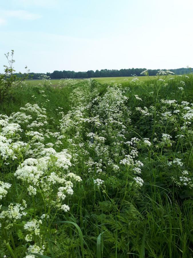Gezond Boeren Verstand Dalerveen Екстер'єр фото